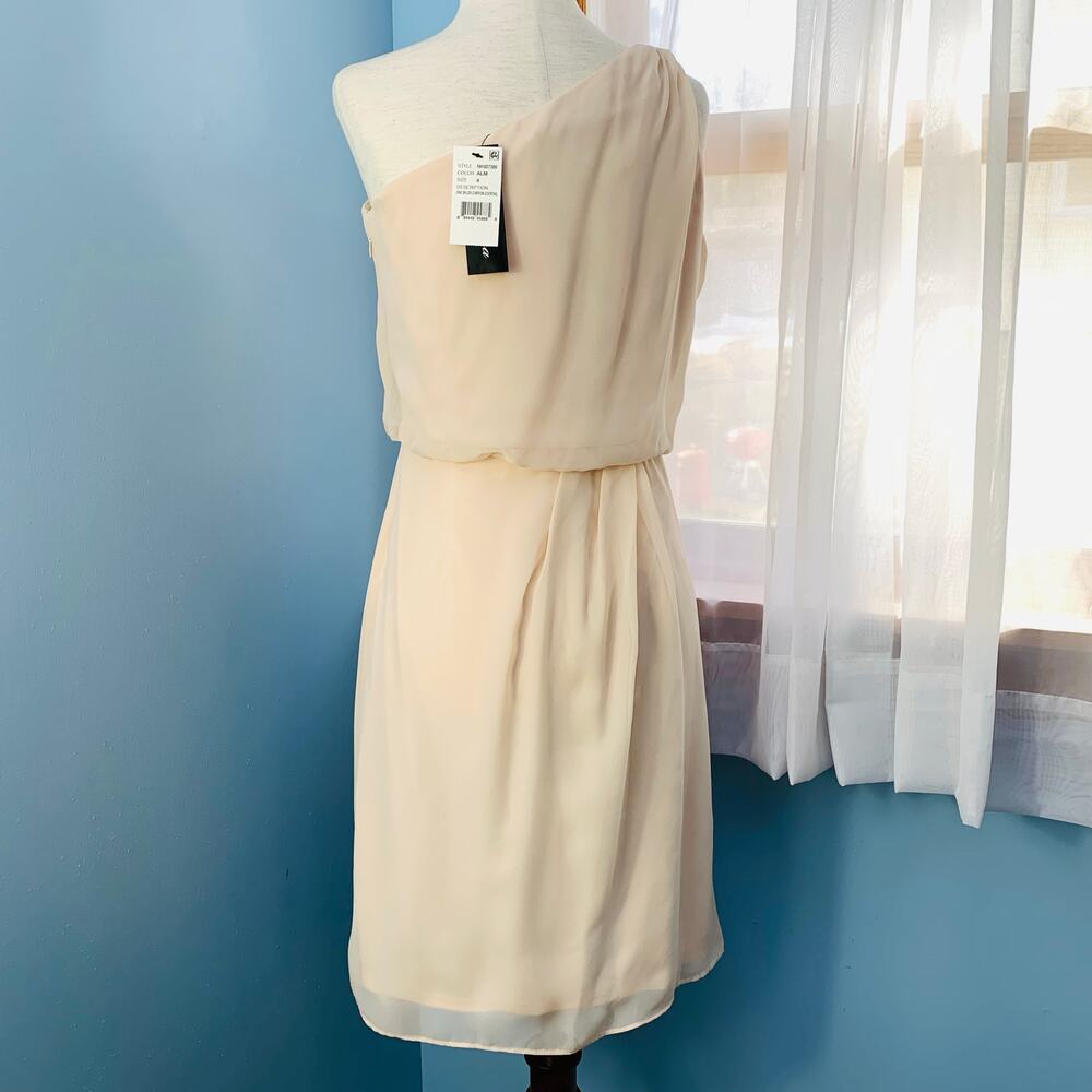 NWT Adrianna Papell Pink Blush One-Shoulder Chiffon Dress Size 4 - Picture 4 of 10